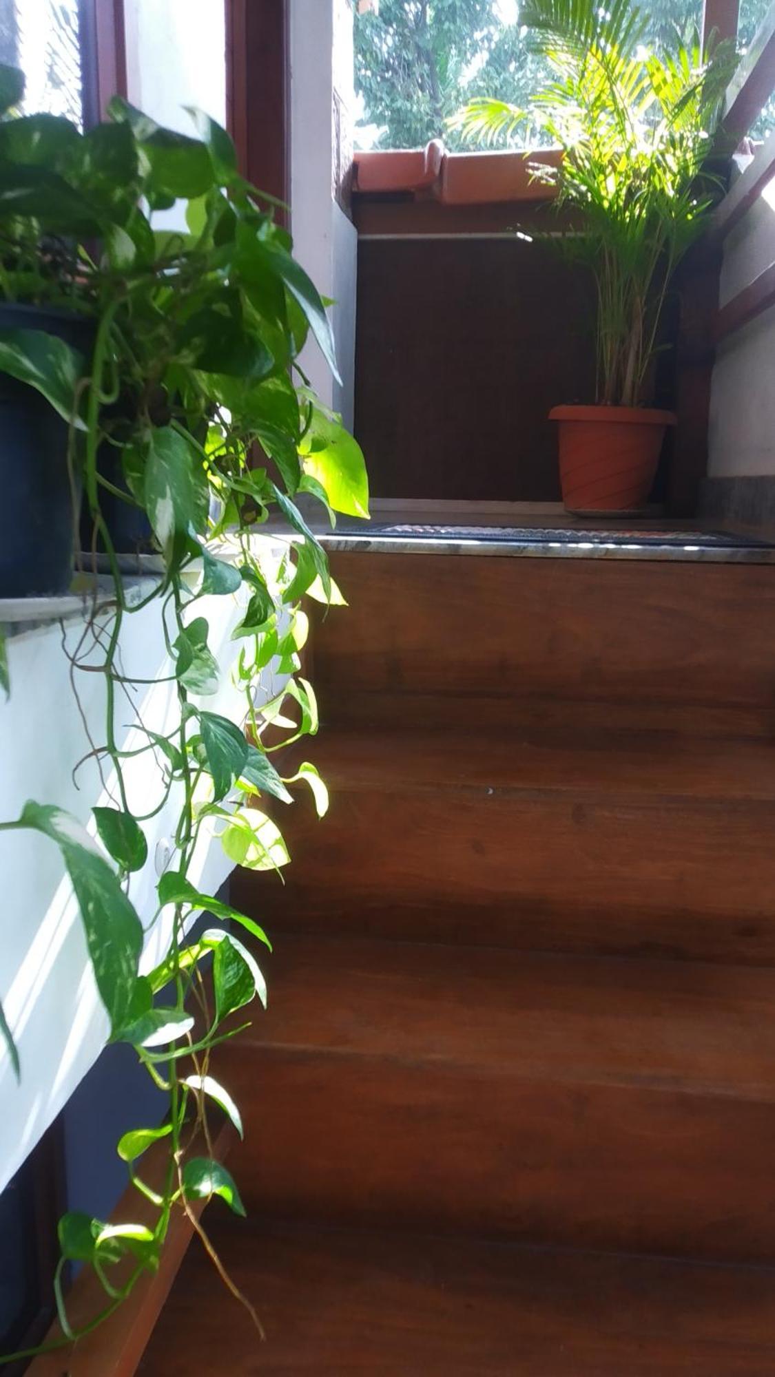 Kanav Homestay Kannur Exterior photo